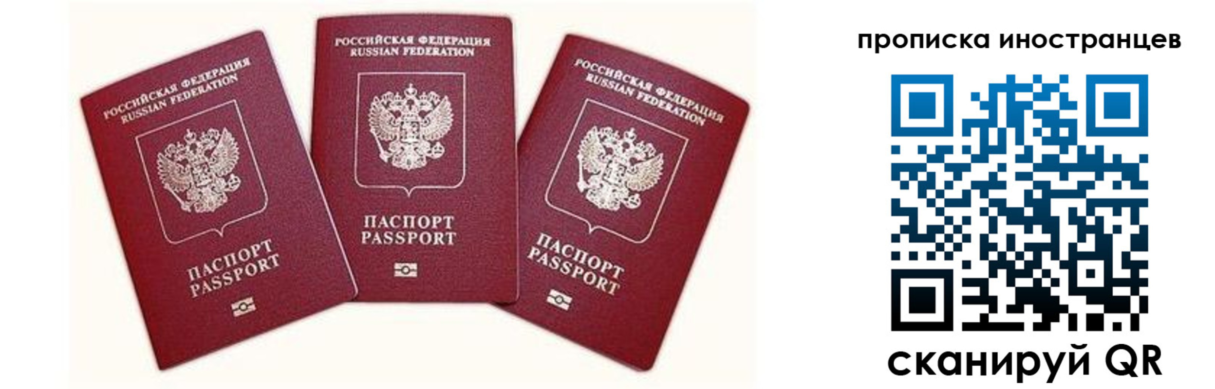 прописка в Брянской области