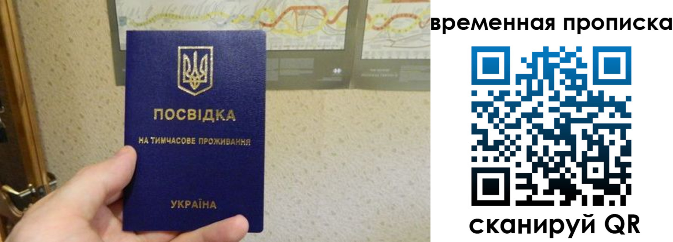 прописка для кредита в Брянской области